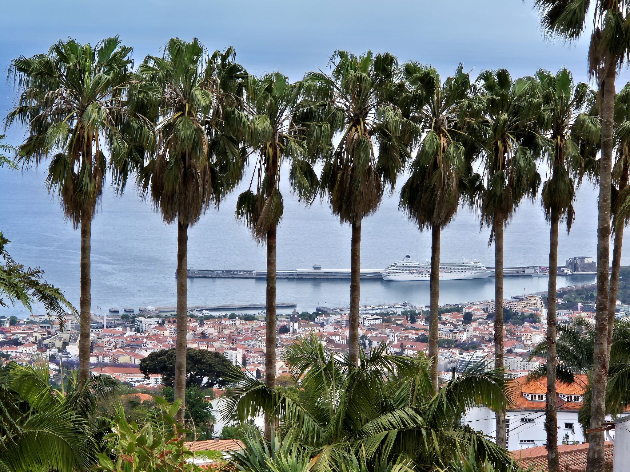 Jardim Tropical Monte Palace in Monte mit Blick auf Funchals Hafen